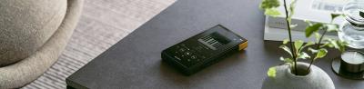 Sony ZX Series Walkman Digital Audio Player - NWZX707/B