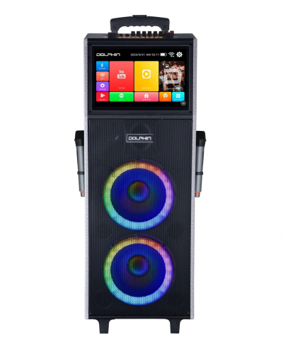 Dolphin Portable Karaoke Machine with 2 Wireless mics - KB-2100R