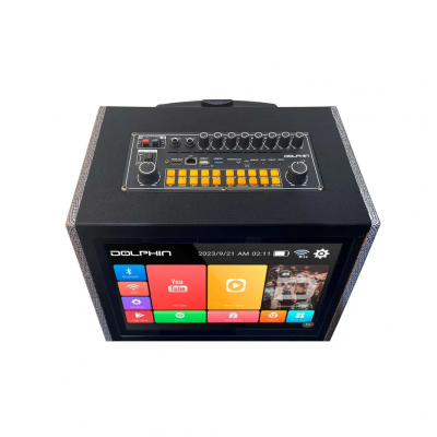 Dolphin Portable Karaoke Machine with 2 Wireless mics - KB-2100R