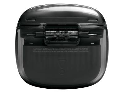 JBL Tune Flex 2 Ghost Edition True Wireless Earbuds - JBLTFLEX2GBLKAM