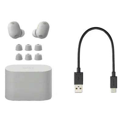 Sony The Best Truly Wireless Noise Cancelling Earbuds in Platinum Silver - WF-1000XM6/S